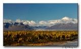 Denali Panorama