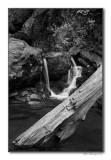 White Oak Canyon Falls #1