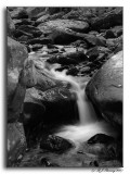 White Oak Canyon
