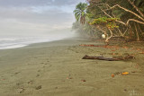 sandy beach