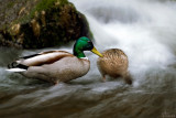 moving water