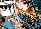 Drying the Catch
