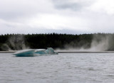 Silt Storm, Davidson Glacier