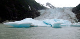 Davidson Glacier