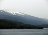 Shades of Gray-Green