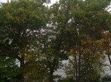 muted