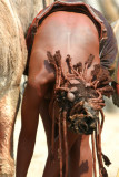 Himba - Hairstyle.jpg