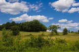 Summer Clouds