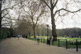 Early Spring, Green Park, London