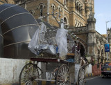 DSC_7198.victoria carriage.jpg