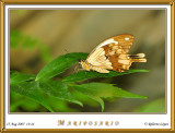 DSC_3897_mariposario1.jpg