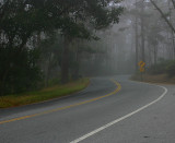 17 Mile Drive