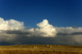 DSC_5588.jpg
