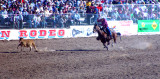 Tucson Rodeo (9)