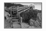 Beach-Walkway.jpg