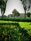 Forbidden City outside the moat - Beijing.JPG