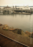 Puget Sound dock.JPG