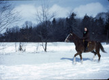 SocksBarbHuntClub 1950.jpg