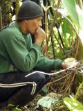 Angel Paz calling a Moustached Antpitta (Washington) with cup of worms in his hand