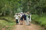 The Royal Mile - Budongo Forest
