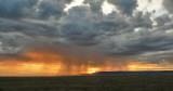 Sunset rain over the Mara
