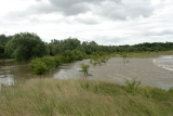 mail lake flooding (south end).jpg