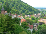 Heidelberg1s.jpg