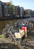 Amsterdam1i.jpg