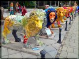 Lions Gallore, Munchen, Germany