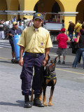 Friendly Policeman , Lima