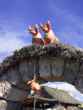 Bulls For Luck, Aymara House , Sillustani