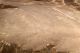 Kolibri, Nazca Desert