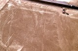 Tree, Nazca Desert