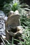 IMG_4241.jpg
