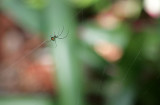 IMG_4282-TW.jpg