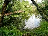 IMG_0290.jpg