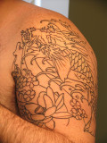 Koi Dragon- initial outline only