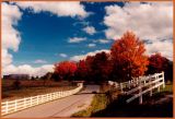 Hinkle Mtn Fall - Rural Farm Scenery tb1099.jpg