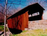 Herns Mill Covered Bridge - Spring tb0302.jpg