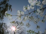 Spring colors3.jpg