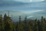 Morning mist in the valley