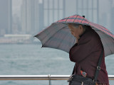 2007.03.17 Wind, and just a little rain