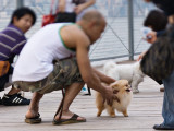 20070331 011.jpg