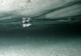 2007.05.25 a dash to the safer deep