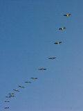 2007.06.09 flight train