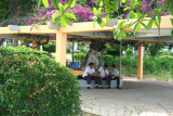 Schoolboys taking a break in the park.