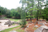 Some of the landscaping in Parque Naciones Unidas.