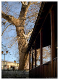 A view of main square of Vizitsa village