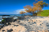 Maui - Beach I