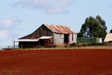 Red Earth farmhouse